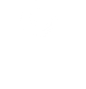 A logo with a black background and a white letter